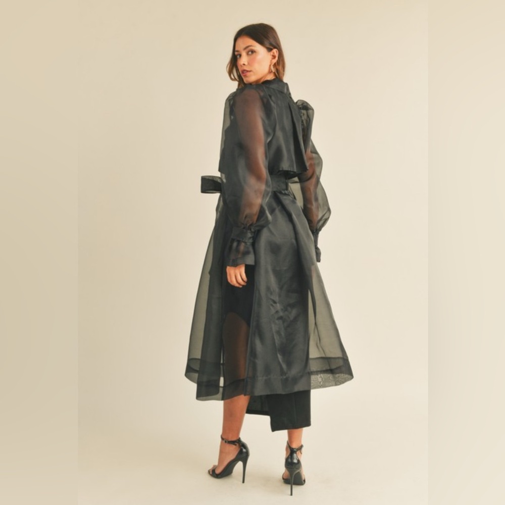 350. MABLE Organza Puff Sleeve Sheer Trench Coat - Picture 4 of 6